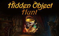 Hidden Object Hunt